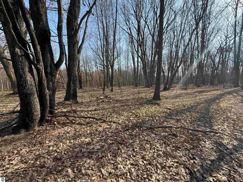 Tiny photo for 11221 SE Behlke Road, Fife Lake, MI 49633 (MLS # 1944207)