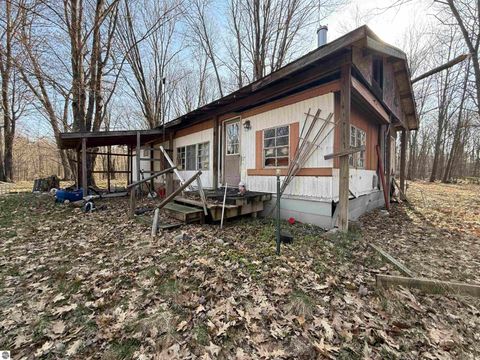 Tiny photo for 11221 SE Behlke Road, Fife Lake, MI 49633 (MLS # 1944207)