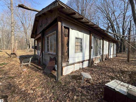 Tiny photo for 11221 SE Behlke Road, Fife Lake, MI 49633 (MLS # 1944207)