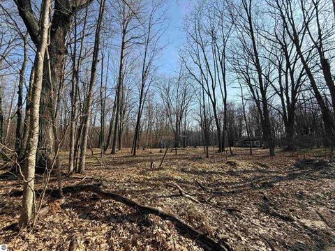 Photo of 11221 SE Behlke Road, Fife Lake, MI 49633 (MLS # 1944207)