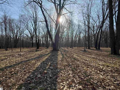 Tiny photo for 11221 SE Behlke Road, Fife Lake, MI 49633 (MLS # 1944207)