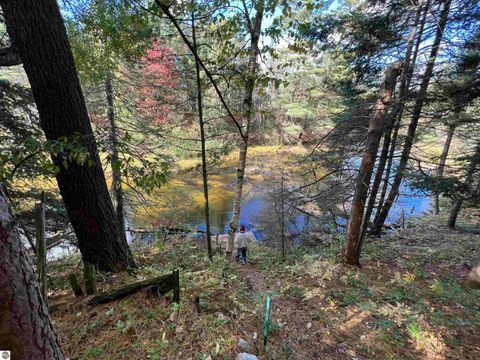 Tiny photo for 6051 N Manistee River Road, Frederic, MI 49733 (MLS # 1943369)