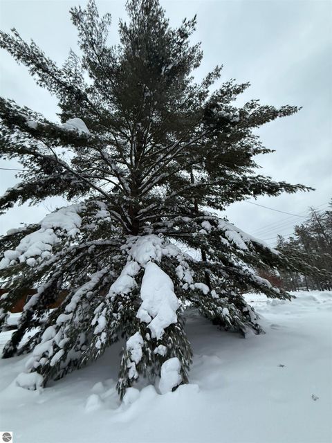 Tiny photo for 6051 N Manistee River Road, Frederic, MI 49733 (MLS # 1943369)