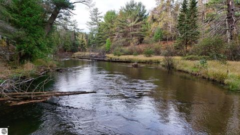 Tiny photo for 6051 Manistee River Road, Frederic, MI 49733 (MLS # 1943369)