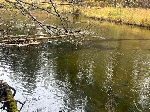 Tiny photo for 6051 Manistee River Road, Frederic, MI 49733 (MLS # 1943369)