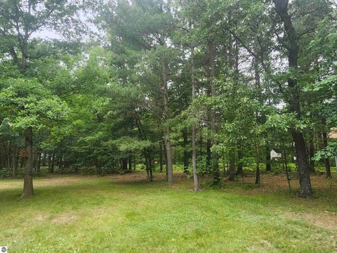Tiny photo for 7348 Blue Ox Trail, South Branch, MI 48761 (MLS # 1946794)