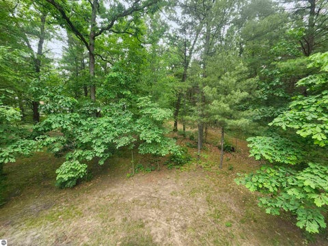 Tiny photo for 7348 Blue Ox Trail, South Branch, MI 48761 (MLS # 1946794)