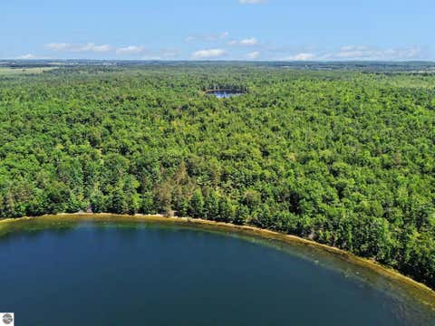 Tiny photo for 3241 E Trask Lake Road, Lincoln, MI 48742 (MLS # 1948737)