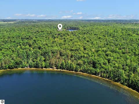 Tiny photo for 3241 E Trask Lake Road, Lincoln, MI 48742 (MLS # 1948737)