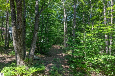 Tiny photo for 5358 S Seeley Road, Cadillac, MI 49601 (MLS # 1947891)