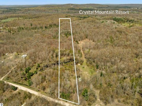 Tiny photo for 15021 Holly Drive, Thompsonville, MI 49683 (MLS # 1944920)