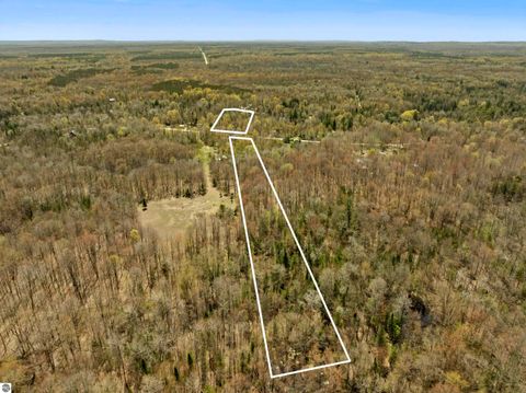 Tiny photo for 15021 Holly Drive, Thompsonville, MI 49683 (MLS # 1944920)