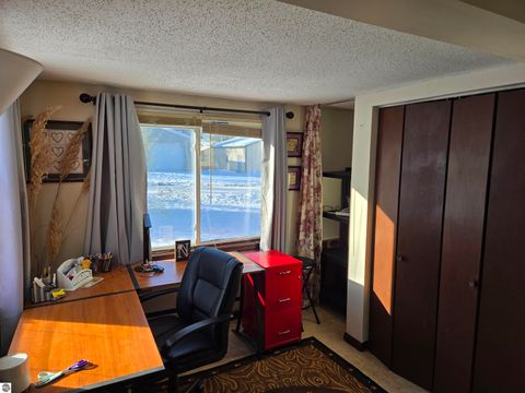 Tiny photo for 2695 Ovid Street, Crystal, MI 48818 (MLS # 1941159)