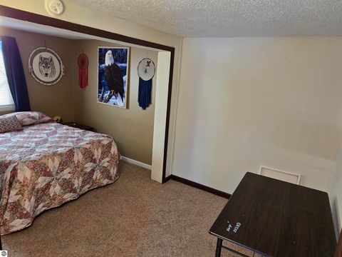 Tiny photo for 2695 Ovid Street, Crystal, MI 48818 (MLS # 1941159)