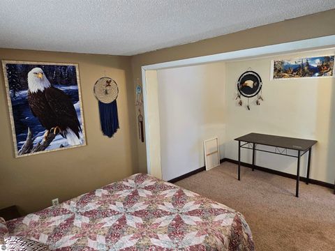 Tiny photo for 2695 Ovid Street, Crystal, MI 48818 (MLS # 1941159)