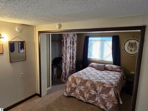 Tiny photo for 2695 Ovid Street, Crystal, MI 48818 (MLS # 1941159)