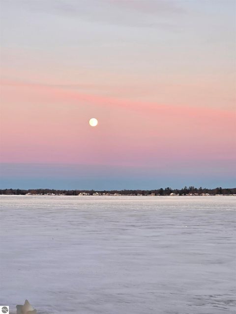 Tiny photo for 2695 Ovid Street, Crystal, MI 48818 (MLS # 1941159)