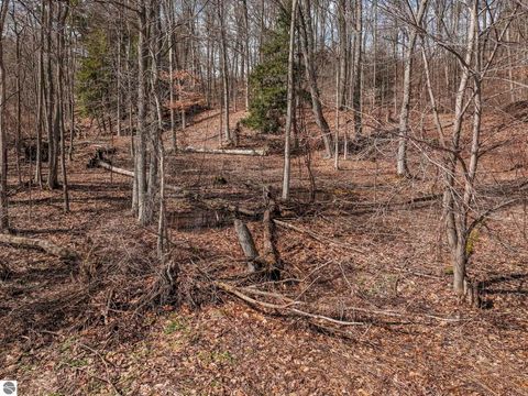 Tiny photo for 00000 Bluff Road, Traverse City, MI 49686 (MLS # 1943885)