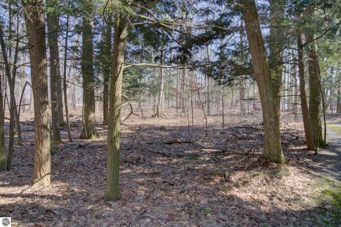 Tiny photo for 4152 N Omena Point Road, Omena, MI 49674 (MLS # 1943990)
