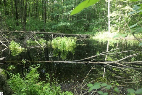 Tiny photo for 4769 Feather Trail, Edmore, MI 48829 (MLS # 1947801)