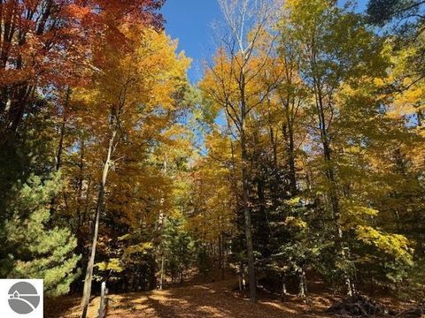 Tiny photo for 410 S Golden Beach Drive, Kewadin, MI 49648 (MLS # 1933860)