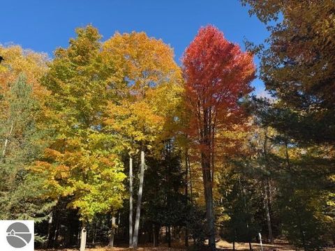 Tiny photo for 410 S Golden Beach Drive, Kewadin, MI 49648 (MLS # 1933860)