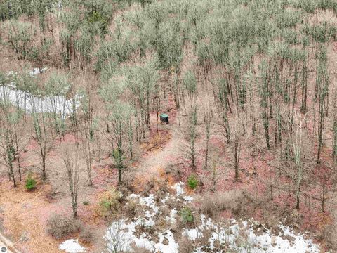 Tiny photo for 8299 W Walker Road, Manton, MI 49651 (MLS # 1943513)