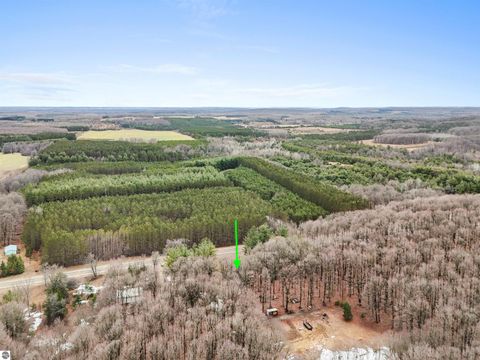 Tiny photo for 8299 W Walker Road, Manton, MI 49651 (MLS # 1943513)