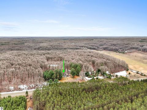 Tiny photo for 8299 W Walker Road, Manton, MI 49651 (MLS # 1943513)