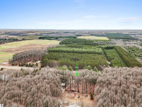 Tiny photo for 8299 W Walker Road, Manton, MI 49651 (MLS # 1943513)