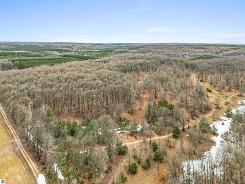 Tiny photo for 8299 W Walker Road, Manton, MI 49651 (MLS # 1943513)