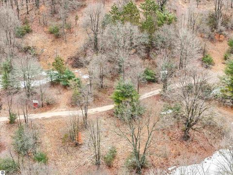 Tiny photo for 8299 W Walker Road, Manton, MI 49651 (MLS # 1943513)