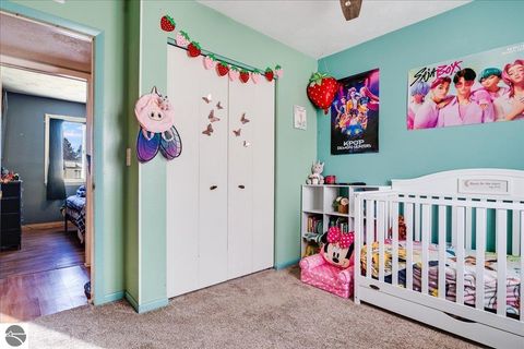 Tiny photo for 316 E Main, Hale, MI 48739 (MLS # 1942341)