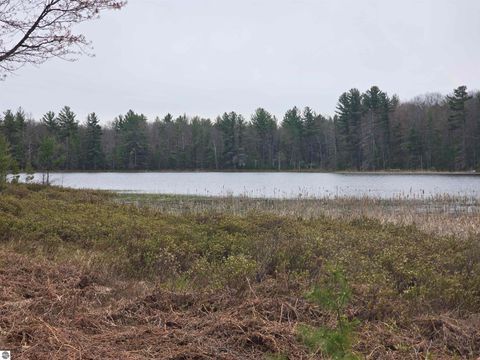 Tiny photo for 56 SE Blue Heron Drive, Kalkaska, MI 49646 (MLS # 1944904)