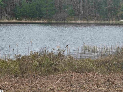 Tiny photo for 56 SE Blue Heron Drive, Kalkaska, MI 49646 (MLS # 1944904)