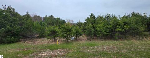Tiny photo for 56 SE Blue Heron Drive, Kalkaska, MI 49646 (MLS # 1944904)