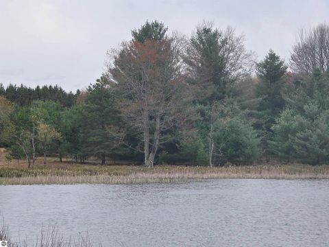 Tiny photo for 56 SE Blue Heron Drive, Kalkaska, MI 49646 (MLS # 1944904)