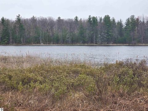 Tiny photo for 56 SE Blue Heron Drive, Kalkaska, MI 49646 (MLS # 1944904)