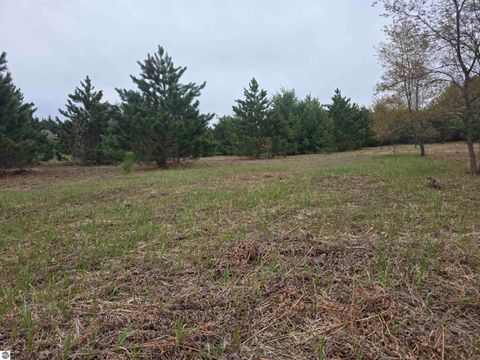 Tiny photo for 56 SE Blue Heron Drive, Kalkaska, MI 49646 (MLS # 1944904)