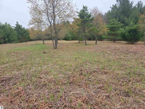 Tiny photo for 56 SE Blue Heron Drive, Kalkaska, MI 49646 (MLS # 1944904)