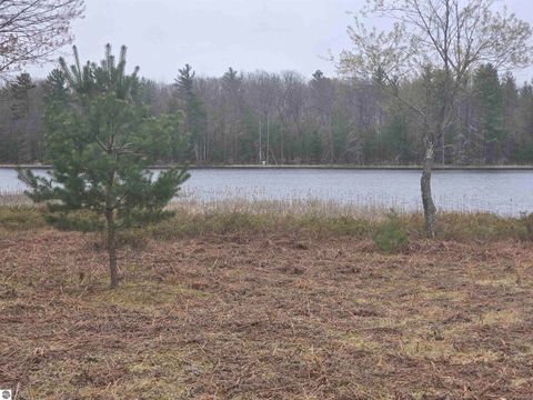 Tiny photo for 56 SE Blue Heron Drive, Kalkaska, MI 49646 (MLS # 1944904)