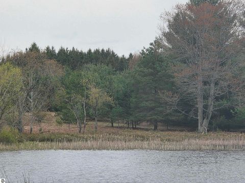 Tiny photo for 56 SE Blue Heron Drive, Kalkaska, MI 49646 (MLS # 1944904)