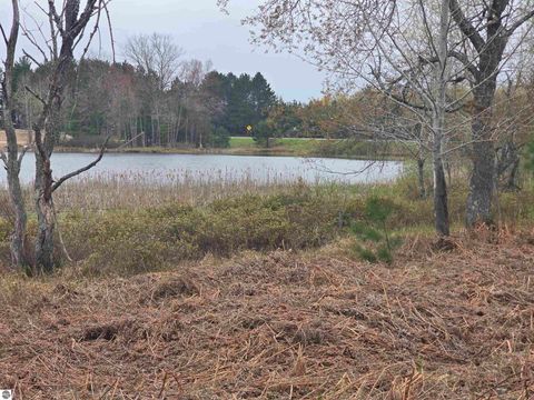 Tiny photo for 56 SE Blue Heron Drive, Kalkaska, MI 49646 (MLS # 1944904)
