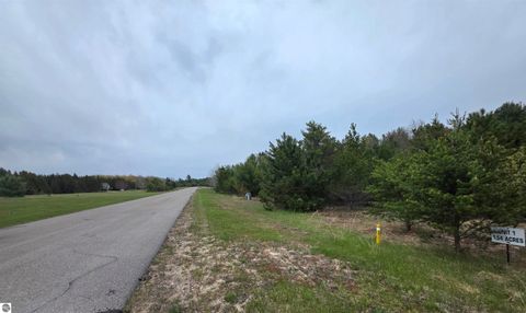 Tiny photo for 56 SE Blue Heron Drive, Kalkaska, MI 49646 (MLS # 1944904)