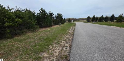 Tiny photo for 56 SE Blue Heron Drive, Kalkaska, MI 49646 (MLS # 1944904)