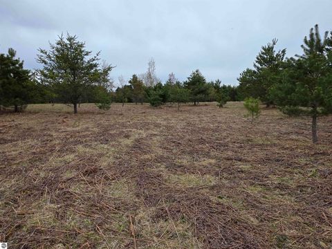 Tiny photo for 56 SE Blue Heron Drive, Kalkaska, MI 49646 (MLS # 1944904)