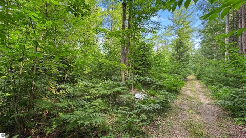 Tiny photo for 180 E Sanborn Road, Lake City, MI 49651 (MLS # 1943764)