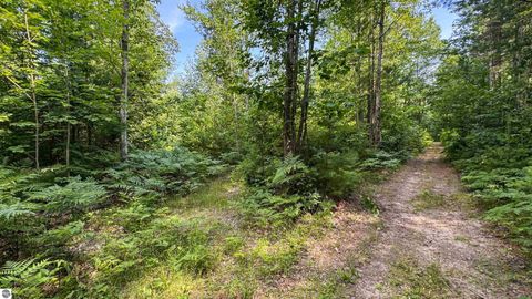 Tiny photo for 180 E Sanborn Road, Lake City, MI 49651 (MLS # 1943764)
