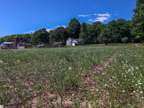 Tiny photo for 21935 Read Road, Copemish, MI 49625 (MLS # 1947416)