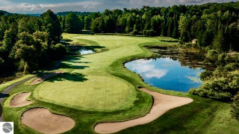 Tiny photo for 6985 Grindel Strause, Bellaire, MI 49615 (MLS # 1943700)